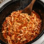 Salsa Chicken