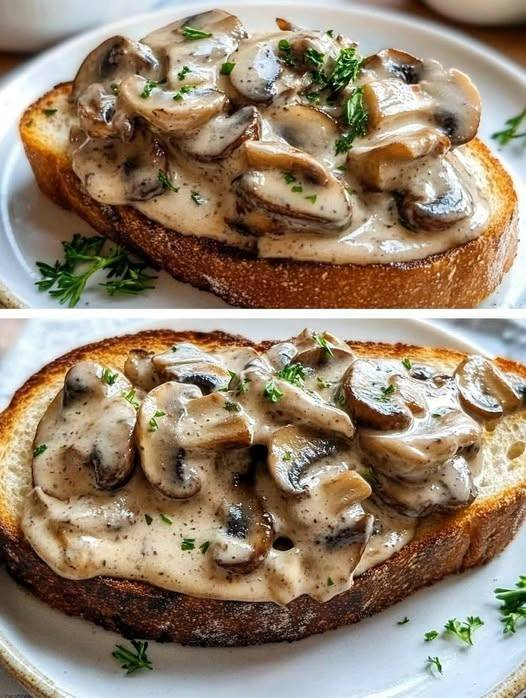 Creamy Mushroom Toasts