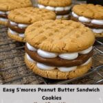Peanut Butter S’mores Sandwich Cookies